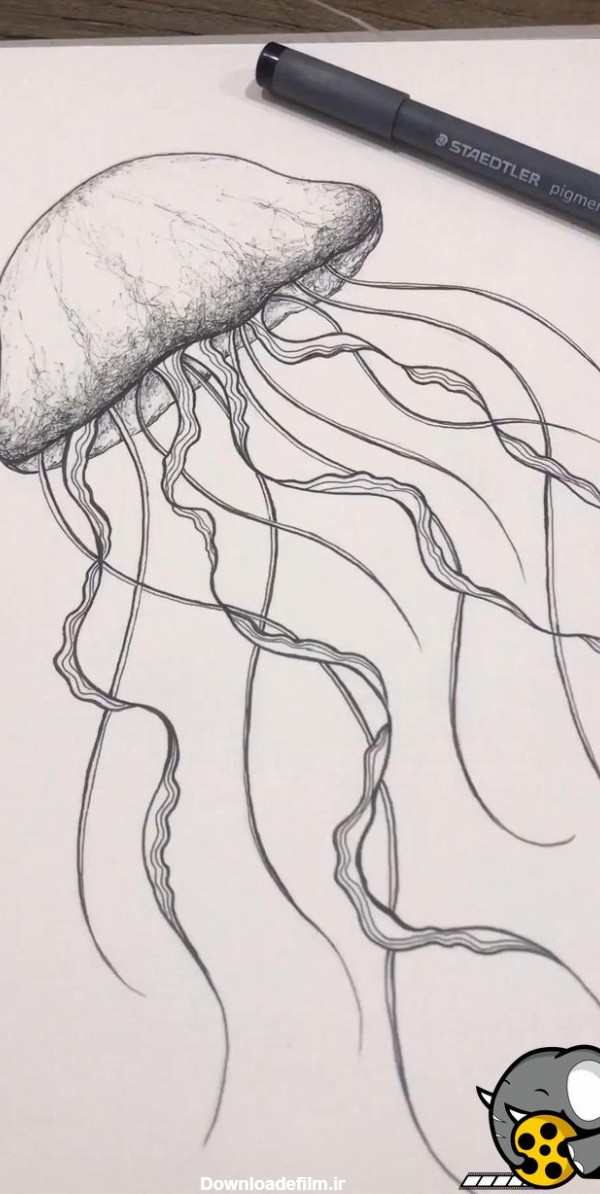 نقاشی عروس دریایی