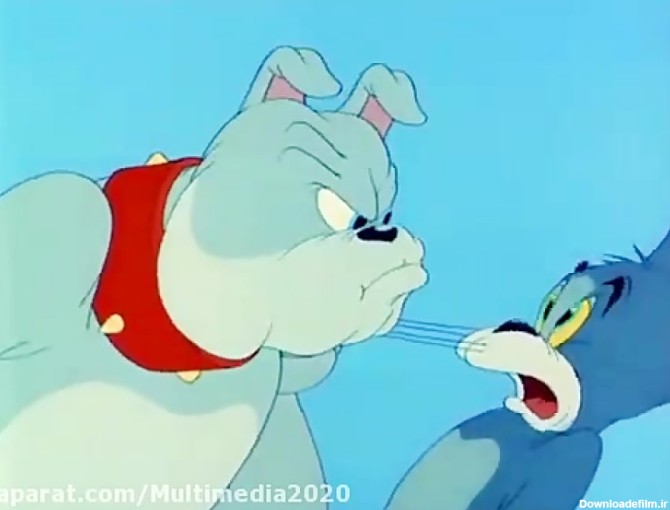 انیمیشن تام و جری | کارتون موش و گربه سگ دوست داشتنی