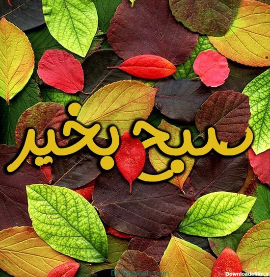 عکس سلام و صبح بخیر پاییزی