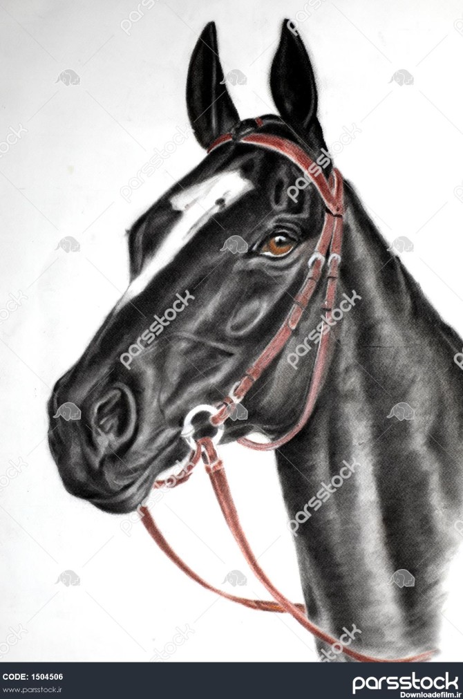 اسب نقاشی اسب زیبا از نیمرخ 1504506