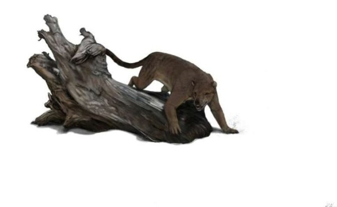 (تصویر) کشف گونه جدید شکارچی غول‌پیکر و باستانی «سگ خرسی» در فرانسه