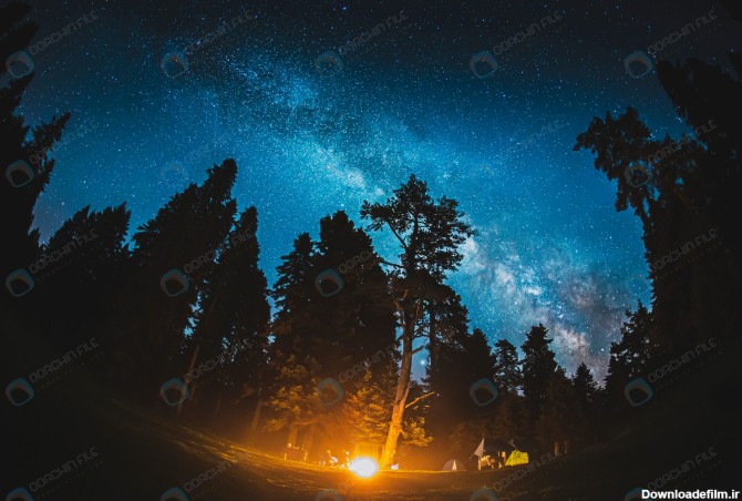 عکس منظره شب هنگام و راه شیری در جنگل - مرجع دانلود فایلهای دیجیتالی