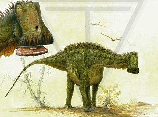 نوعی دایناسور  گیاه خوار و گردن دراز  عجیب  به نام  نیجروسورس از  دوره کرتاسه  . آفریقا