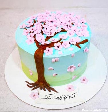 خرید و سفارش کیک خامه ای شکوفه بهاری|فروشگاه اینترنتی الوکیک