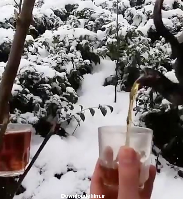 چای گیلانی در برف و سرما