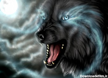 گرگ در زیر نور ماه wolf in moon light