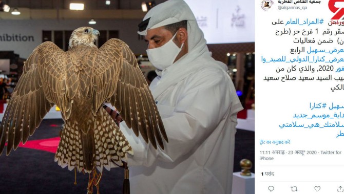 گران ترین بالابان قطر را ببینید + فیلم و عکس