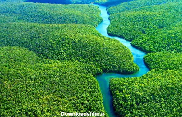 عکس‌های زیبا و خیره کننده جنگل‌های آمازون با کیفیت فول اچ دی