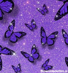 Purple Wallpaper for Android - Download | Bazaar