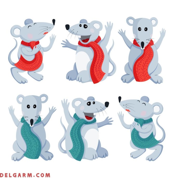 تصاویر موش برای سال موش !