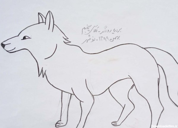 عکس نقاشی صورت گرگ کودکانه دانلود