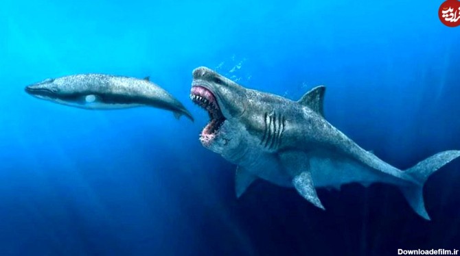 تصاویر) از دایناسور 35 متری تا نهنگ 200 تنی؛ ابهت حیوانات ماقبل تاریخ