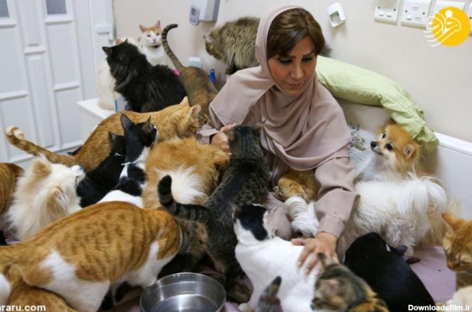 فرارو | (تصاویر) زنی که ۵۰۰ گربه و سگ در خانه دارد!