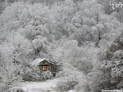 آرامش زمستان را در این کلبه‌ها تصور کنید