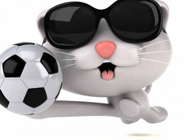 عکس کارتونی گربه و توپ فوتبال