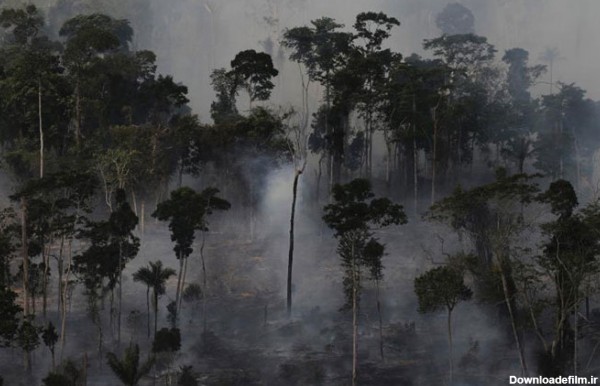جنگلهای آمازون از نمای بالا - تصاوير بزرگ - بهار نیوز