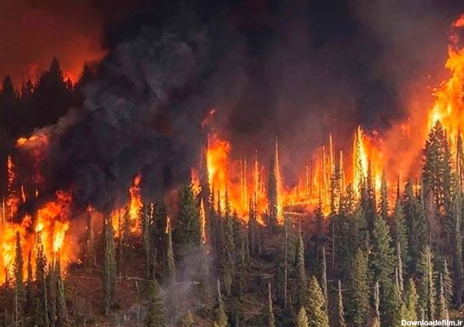آتش به جان ثروت های طبیعی روسیه افتاده است + تصاویر - تسنیم