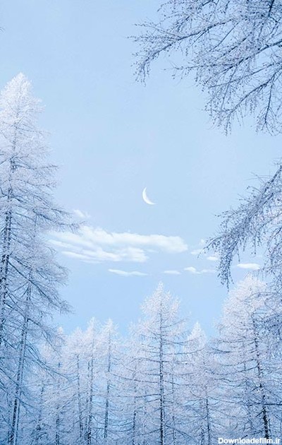 پکیج 10 عددی تصویر زمینه با کیفیت HD و زیبای ماه و ستاره در آسمان برای گوشی آیفون