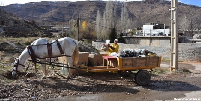 مدیرعاملی که با اسب و ارابه زباله جمع می‌کند! | خبرگزاری فارس
