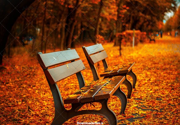 عکس با کیفیت نیمکت چوبی در فضای طبیعت زیبای پاییزی – عکس با کیفیت ...