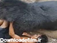 حمله خرس به انسان در باغ وحش (تصاویر 16+)
