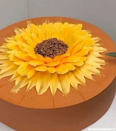 ترفند تزئين کيک به شکل گل آفتاب گردان