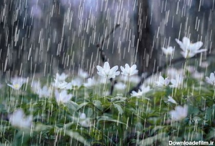 حکایت های زیبا و جالب درباره باران