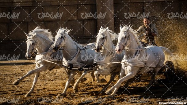 تصویر با کیفیت اسب های گاری همراه با اسب های سفید زیبا - ایران طرح