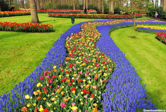 زیباترین باغ های گل در دنیا + عکس | لست‌سکند