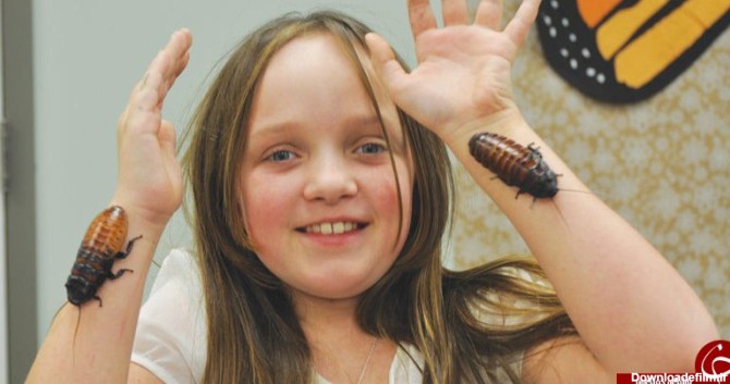 زندگی عجیب دختر 9 ساله با هزاران سوسک چندش‌آور! (+عکس)