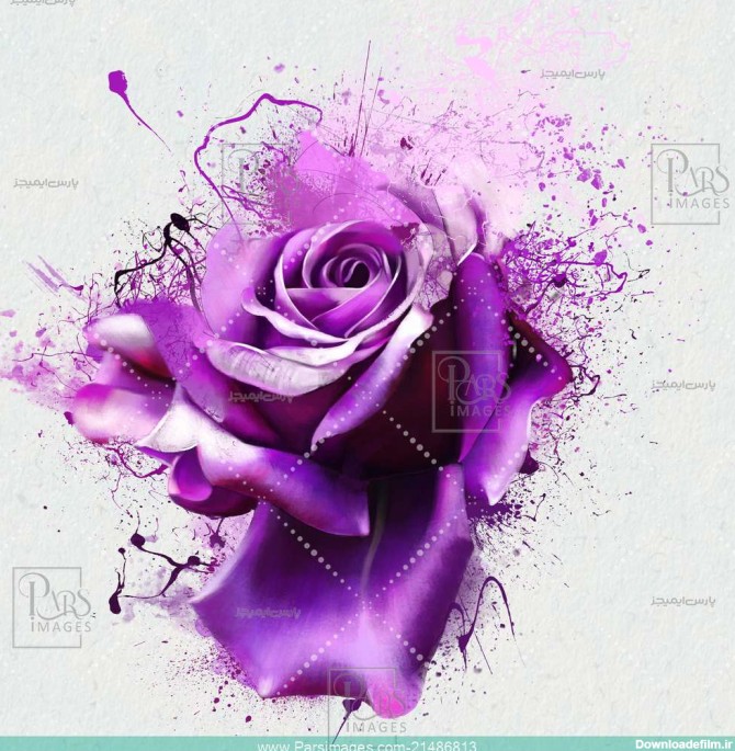 Romance Beautiful Bloom - دانلود عکس - پارس ایمیجز ...