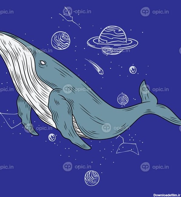 دانلود وکتور نهنگ در فضا | اوپیک