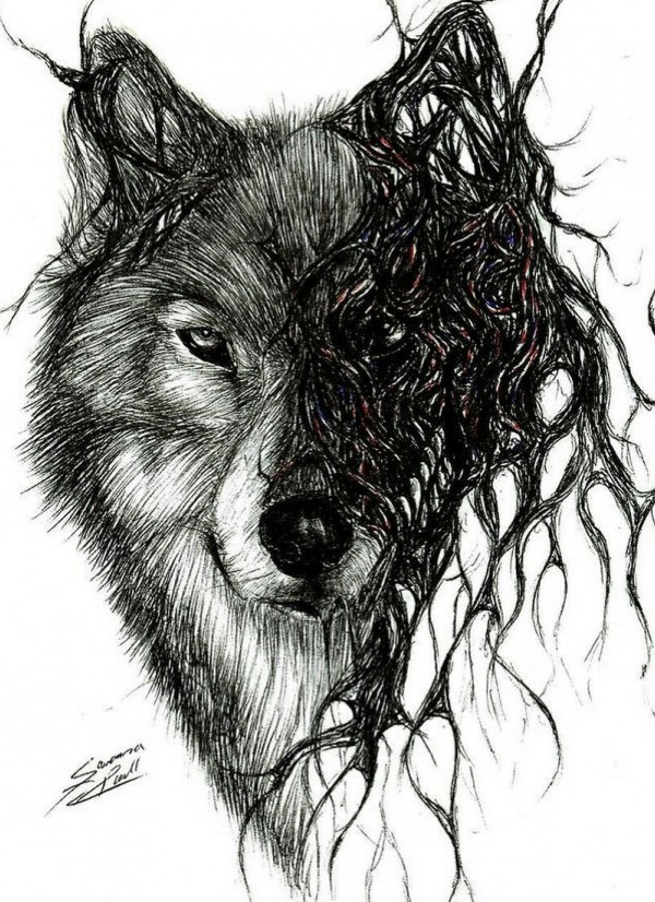 dark wolf wolf dream گرگ سیاه گرگ تخیل - عکس ویسگون