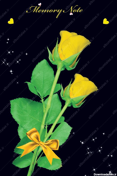 دفتر خاطرات لاو طرح تک گل رز زرد با زمینه مشکی - آلبوم عکس طلائی