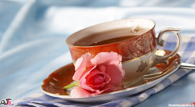 همه ی آنچه باید درباره چای گل سرخ بدانید!
