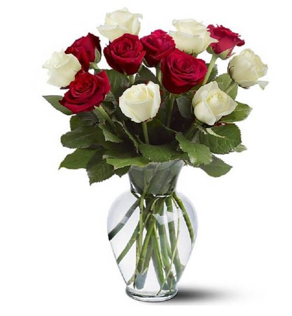 دسته گل رز سفید و قرمز ارسال به کانادا | گل فروشی آنلاین گل بازار