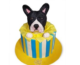 کیک تولد حیوانات - کیک تولد سگ سیاه | کیک آف