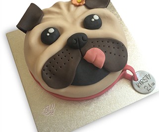 کیک تولد بچه گانه - کیک کارتونی پیت بول | کیک آف