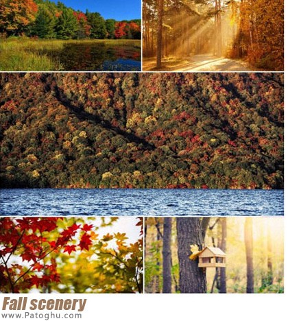 مجموعه تصاویر از چشم اندازهای طبیعی فوق العاده زیبا برای پس زمینه دسکتاپ Fall scenery