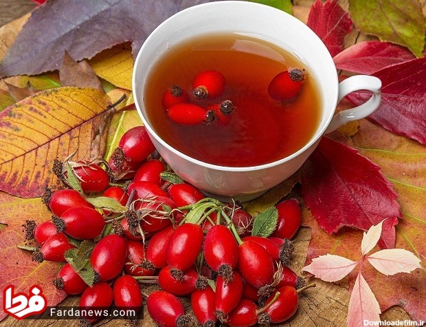 ۷ فایده و خواص چای میوه رز/ نوشیدنی مناسب برای پیشگیری از سرطان ...