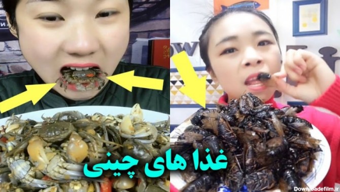 غذا های عجیب و دیوانه کننده ای که تنها مردم چین می خورند