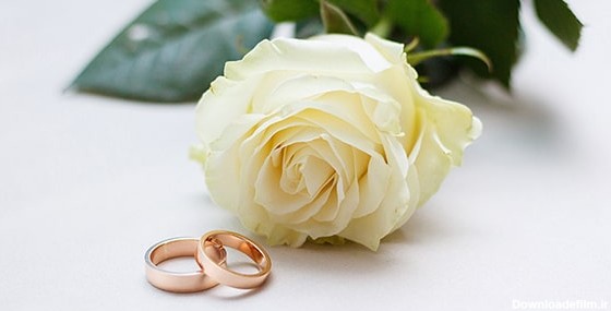 تصویر حلقه های ازدواج و عروسی کنار گل رز | فری پیک ایرانی ...