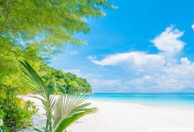 دانلود عکس پس زمینه زیبای ساحل استوایی