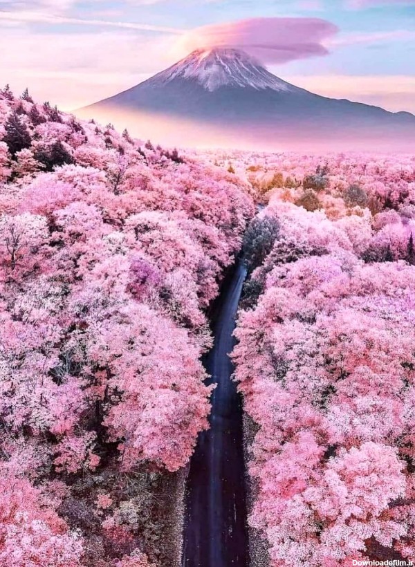 طبیعت زیبای ژاپن + عکس
