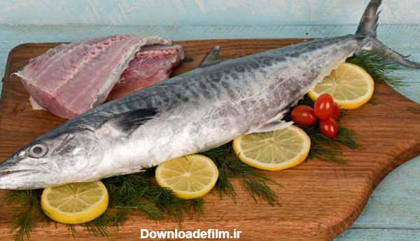 شناسایی انواع ماهی شیر و مقایسه و بررسی ظاهر و گوشت آنها