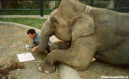 مهربان ترین حیوان دنیا +تصاویر