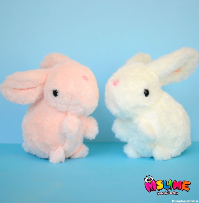 خرگوش-پشمالو-طبیعی-سایز-متوسط-نگاره