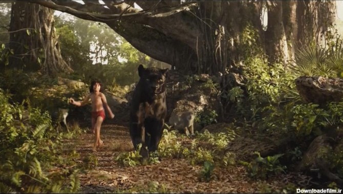 ماجراهای موگلی و «کتاب جنگل» در سینما زنده می شود