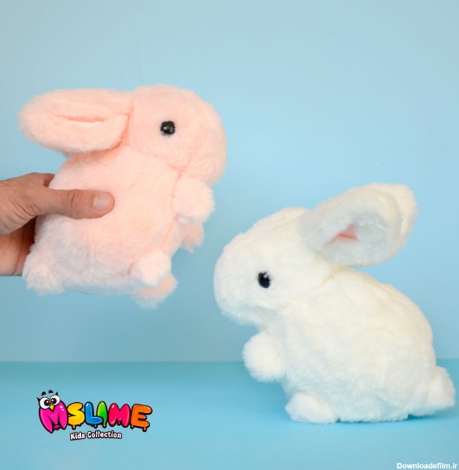 خرگوش-پشمالو-طبیعی-سایز-اندازه-در-دست