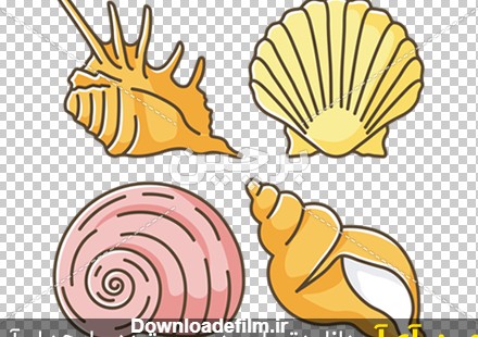 Borchin-ir-Exotic sea shells RGB color icons set وکتور صدف گوش ماهی png2